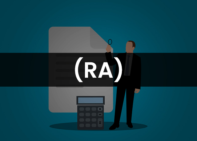 Reduced Audit
